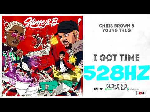 I GOT TIME 528HZ EXTREME BASS BOOST - Chris Brown Young Thug ft. Shad Da God (Official Audio