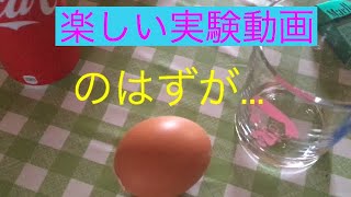 楽しい実験動画のはずが...
