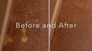 How we correct color loss caused by a bleaching agent. Carpet dyeing bleach stains in Atlanta, Ga.