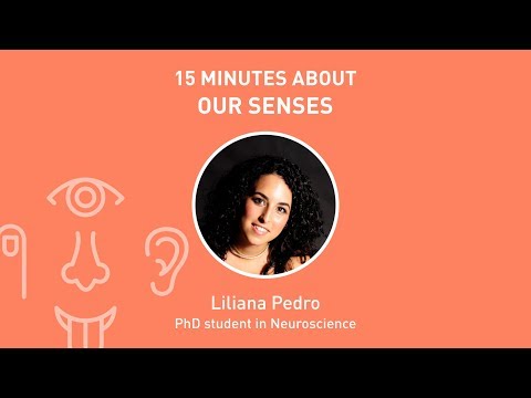 15x4 - 15 minutes about Our Senses