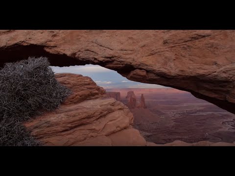 Landscape of the Mind: Addiction Explained