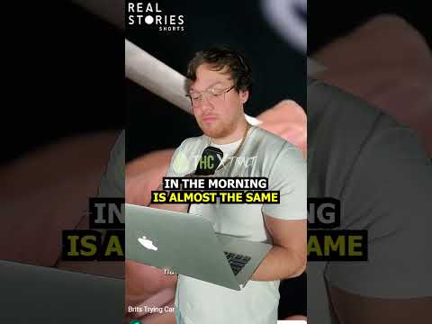 Dutch Cannabıs: A Daily Staple Like English Tea? 🤔