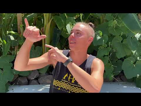 HBOD Vol.3 ʻAkau/Hema