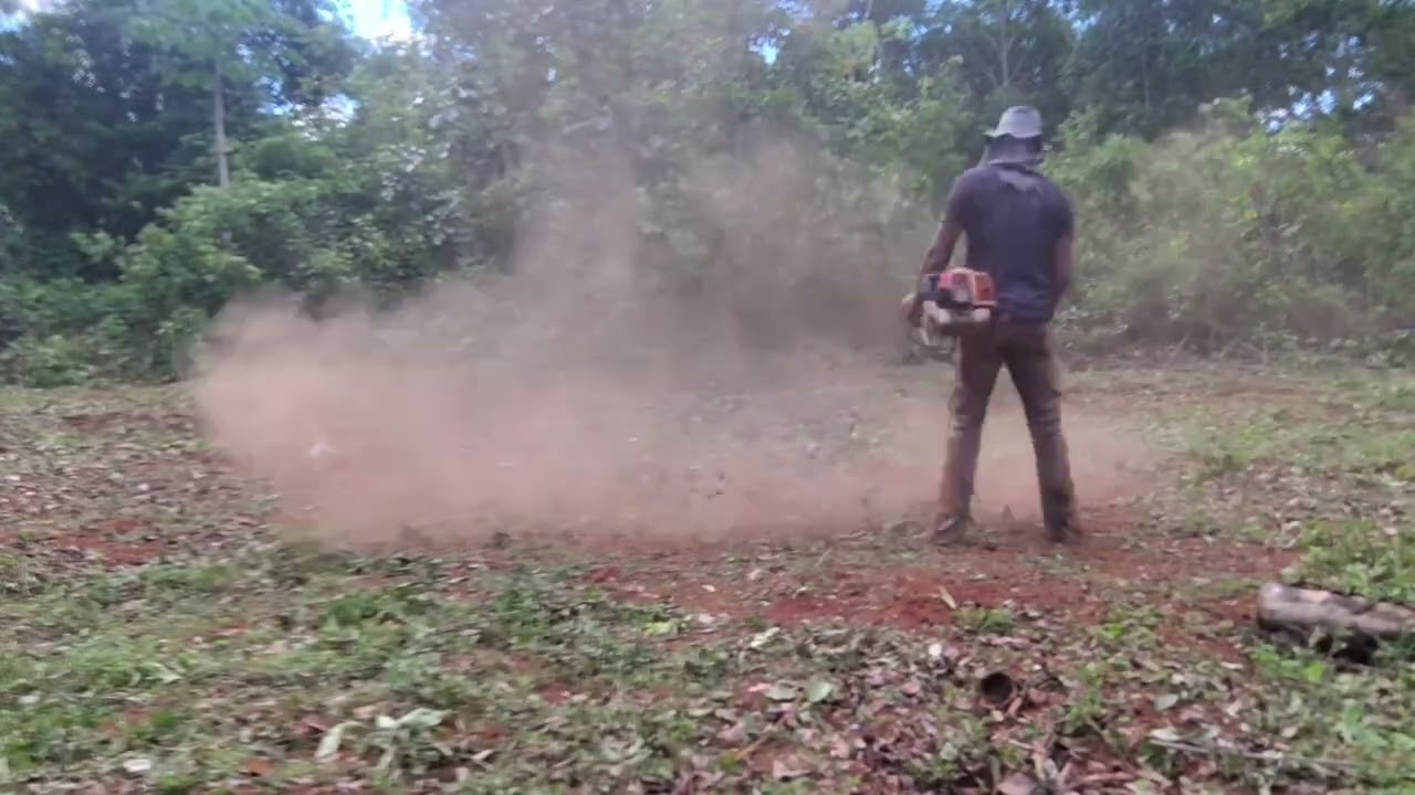 Capinando terreno com a Roçadeira para plantar Milhos 🌽🌽