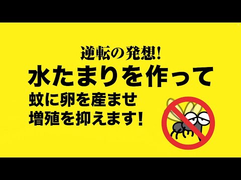 「ボウフラストッパー出ちゃい缶」【逆転の発想篇】