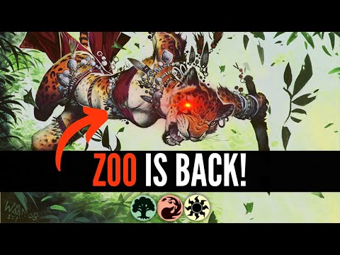 Domain Zoo is GREAT! in MTG PAUPER