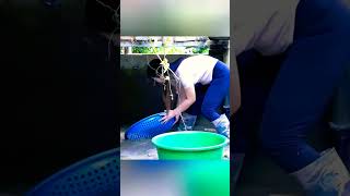 Download lagu Vlog working #viral #youtubeshorts mp3
