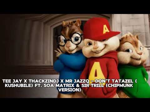 Tee Jay x ThackzinDj x Mr JazzQ - Don't Tatazel ft. Soa Matrix & Sir Trill (Chipmunk version)