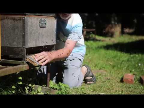 Kalmarbygdens Biodlare