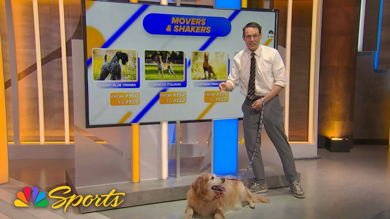 National Dog Show: Popular dog trends of 2025 with Steve Kornacki | NBC Sports