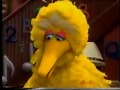 Sesame Street Wolfgang Wants Ruthie S Goldfish New HD
