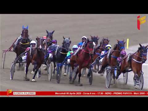 VI Corsa del 5 Aprile 2023 - 5 Anni ed oltre Cat. E - Metri 2000