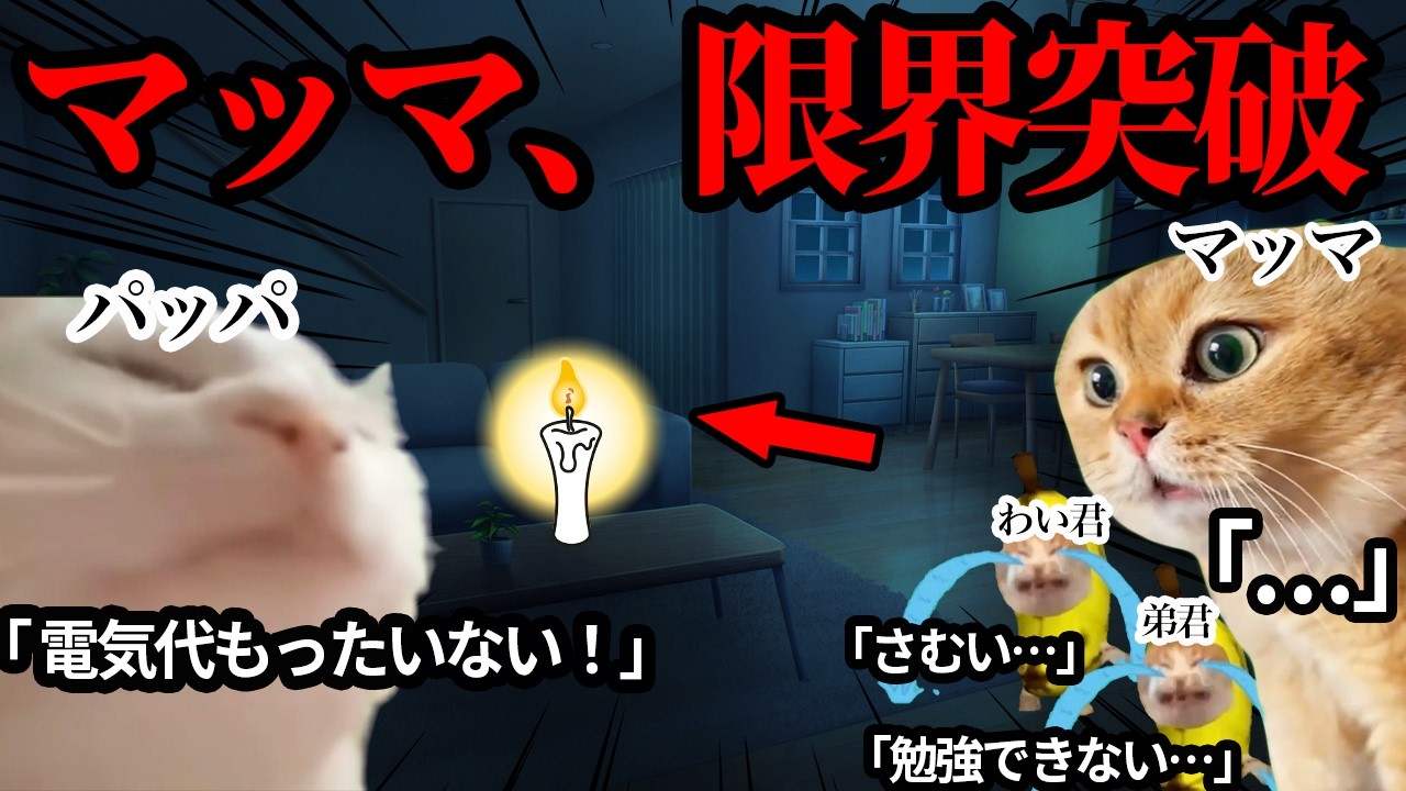 父親が節約しすぎて、母親にブチギレられました #猫ミーム #猫マニ #あるある