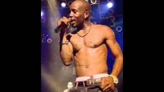 Dmx Ft Foxy Brown   A Dog And A Fox   VBOX7