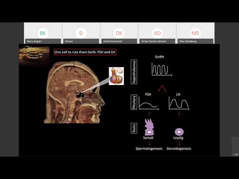 Urology Teaching Collaborative | 11/24/20 | Dr. Darius Paduch: Male Infertility