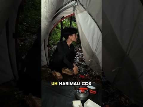 Tiba-tiba disamperin Harimau 😱 #prank #shorts