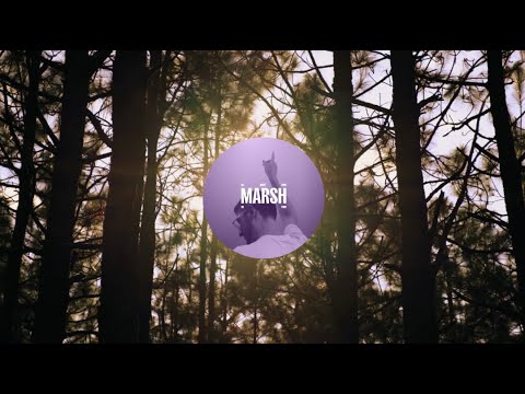 Marsh - All Night Long (Forest Sounds  + Visualiser)