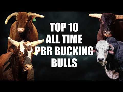 Top ten PBR bucking bulls of all time