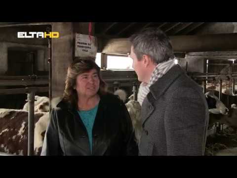 BL HRONIKA 29 01 19 - VERICI