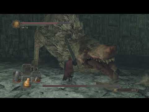 DARK SOULS™ II: Scholar of the First Sin - Autorità Reale Dei Topi