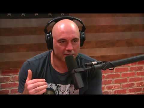 Joe Rogan and  Brendan Schaub talk about Cro Cop