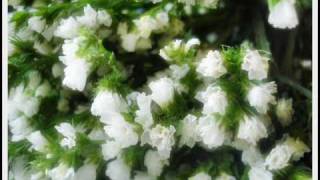 keep the flame alive.wmv