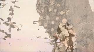 millaze - Rabbit Hole (Official Video)