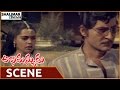 Abhimanyudu Movie Silk Smitha Talks With Sobhan Babu Sobhan Babu Shalimarcinema