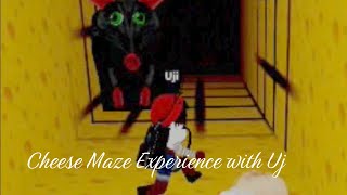 Cheese Maze Experience With Uj