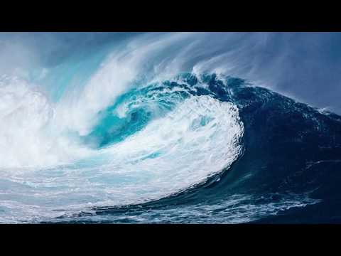 IECE| Trío Salmista David | Vol. Pastor Divino