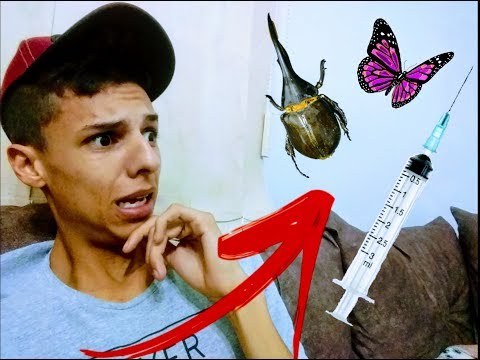 OS meus 3 Medos Sinistros