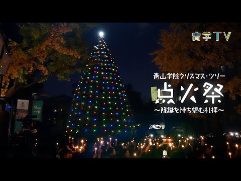 史学科 2024年度 青山学院クリスマス・ツリー点火祭～降誕を待ち望む礼拝～