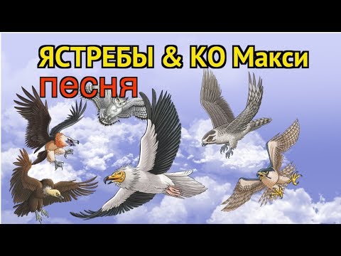 Ястребы и Ко Макси ПЕСНЯ (ДеАгостини 2017)