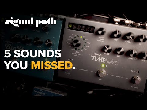 5 Strymon Timeline Sounds You Missed | Deep Dives | Signal Path