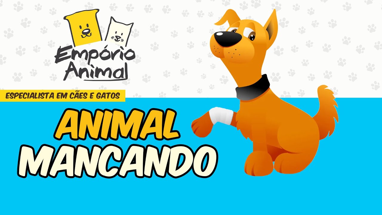 Cães e gatos mancando, como identificar e o que fazer