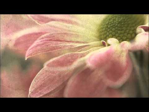 A. Vivaldi: RV 50 / Sonata for flute & b.c. in E minor - [doubtful] / Conserto musico