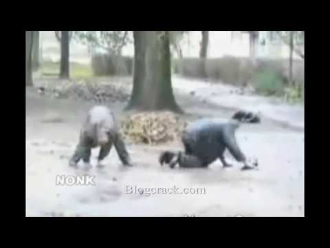 Probeiren Van Nor Hois Te Goon - OpCeeDee