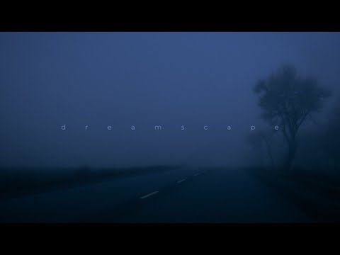 my head is empty, miranda rain - let me go