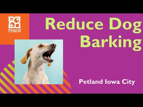 Tips On How To Reduce Dog Barking