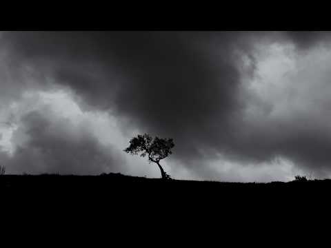 "North" - Sleeping At Last (Micro Music Video)