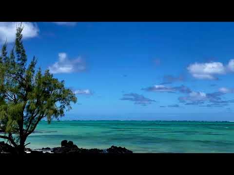 image : Carte postale : Ile Maurice