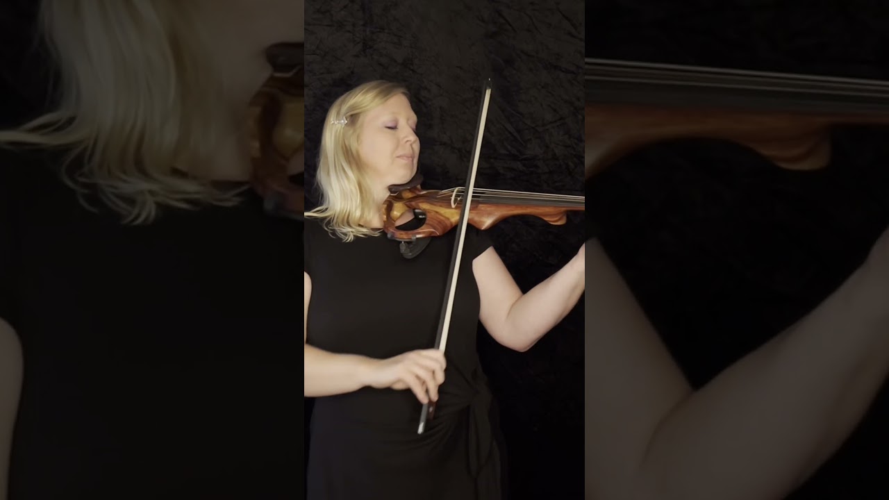 Promotional video thumbnail 11 for Evelyn's Music - Professional Piano and Violin