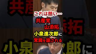 【国会】共産党山添拓、進次郎に常識を諭される #政治 #shorts #高市内閣