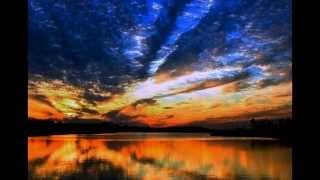 Syrian -  Destiny Sunrise