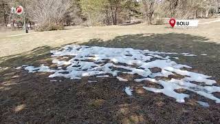 Abantta Karların Ardından Bahar Manzarası