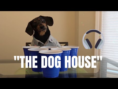 download lagu mp3 mp4 Welcome To The Dog House, download lagu Welcome To The Dog House gratis, unduh video klip Welcome To The Dog House