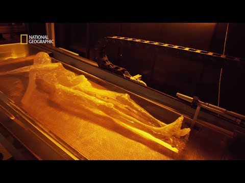 Rozwiązaliśmy kryminalną zagadkę sprzed ponad 5000 lat! [Człowiek lodu: tajemnicza śmierć]