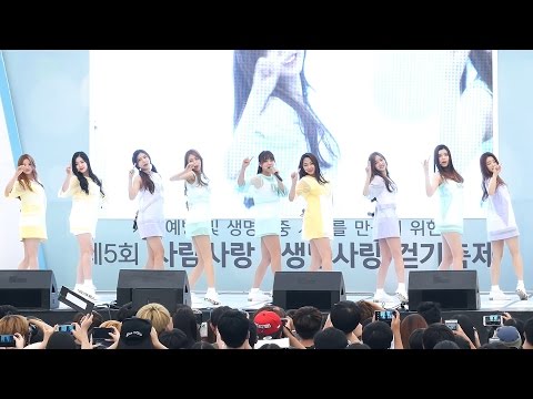 [4K] [160904] 구구단 gugudan - 일기 Diary (평촌중앙공원 사람사랑 생명사랑 걷기축제) 전체 직캠/Fancam by PIERCE