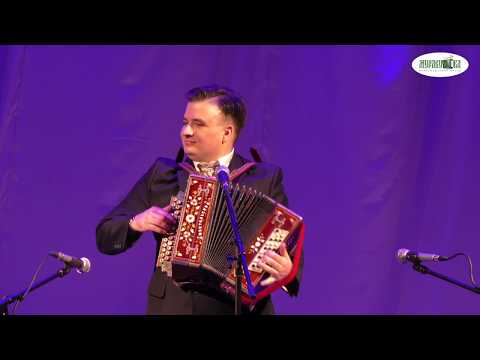 Концерт гармонистов в городе Рязань. Организованный Артёмом Аникиным и Сергеем Кирюшкиным.