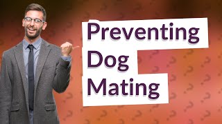 Can you stop dogs from mating?